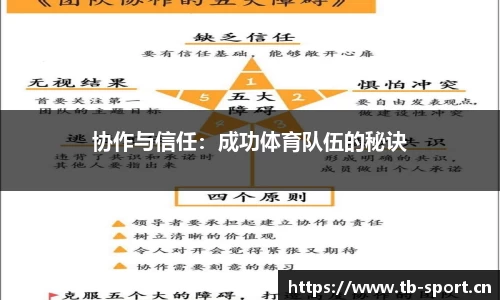 协作与信任：成功体育队伍的秘诀